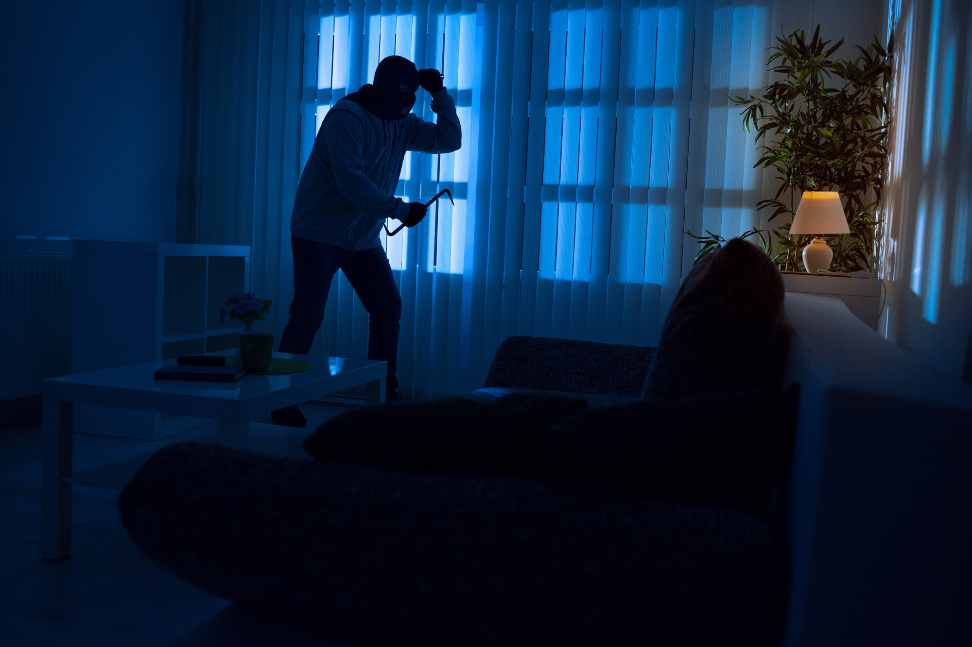 Phoenix Burglary Defense